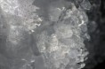 /album/hiver/img-0703-jpg/
