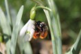 /album/insectes/img-0884-jpg/