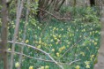 /album/flore/img-1268-jpg/