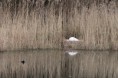 /album/flore/img-1281-jpg1/