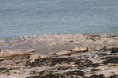 /album/mer/img-0062-jpg/